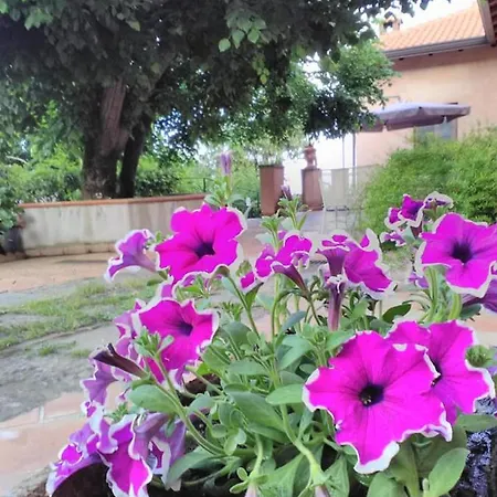 La Corte Di Bafe 